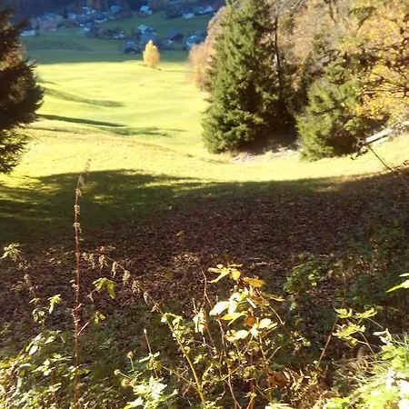 Haus Elisabeth Appartement *